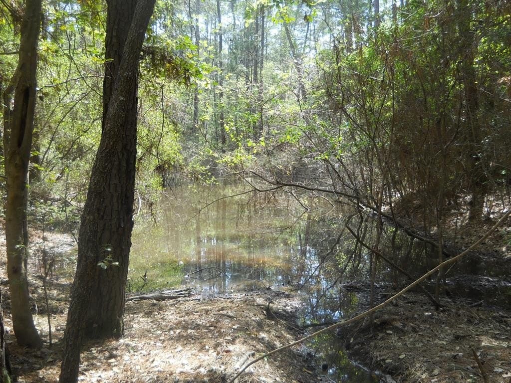 15.73 acres in Texas County - photo 35