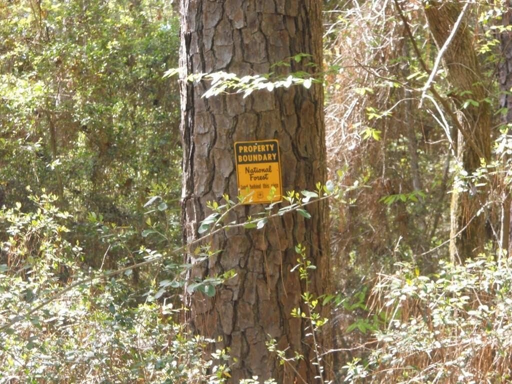15.73 acres in Texas County gallery image 2