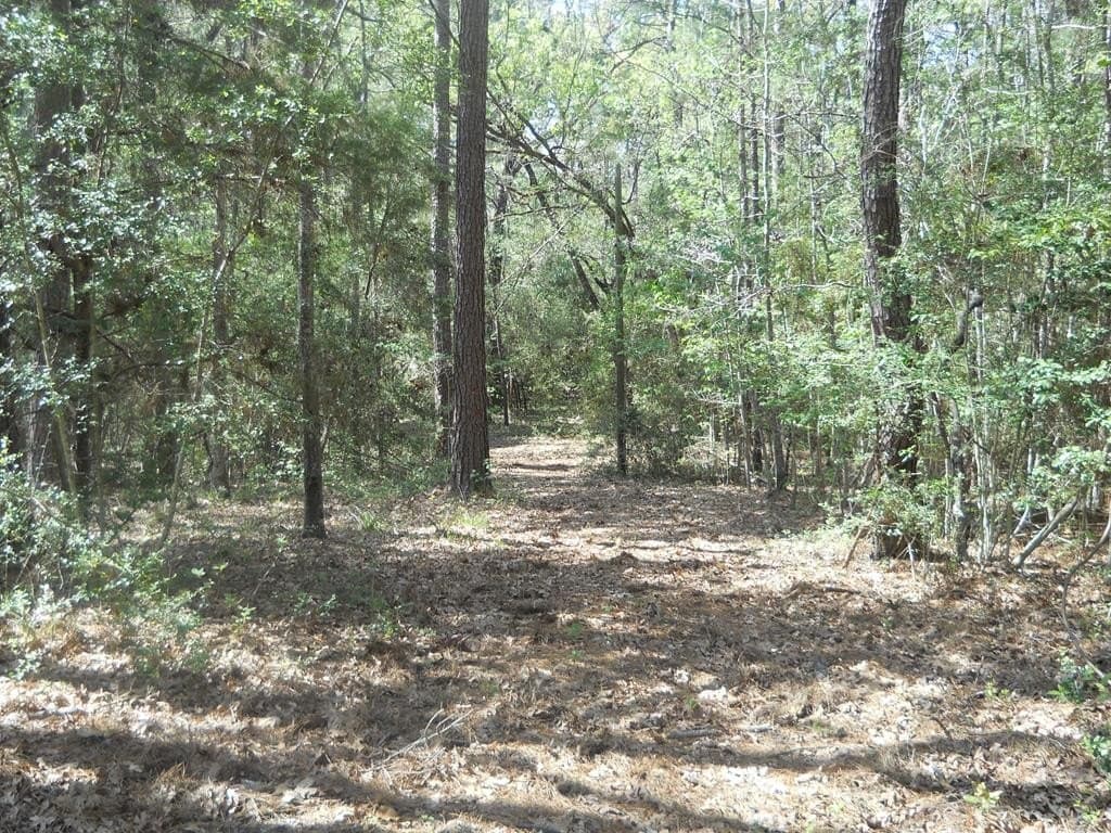 15.73 acres in Texas County - photo 13