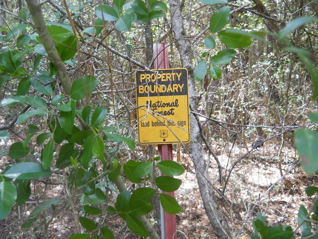 15.73 acres in Texas County gallery image 3