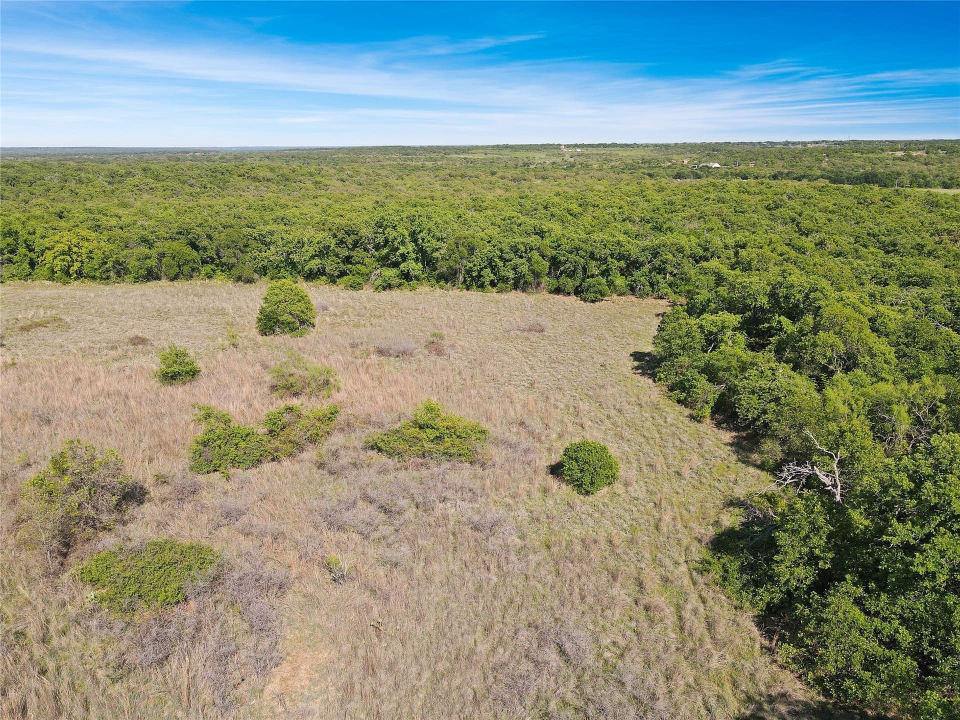 149.62 acres in Eastland County - photo 11