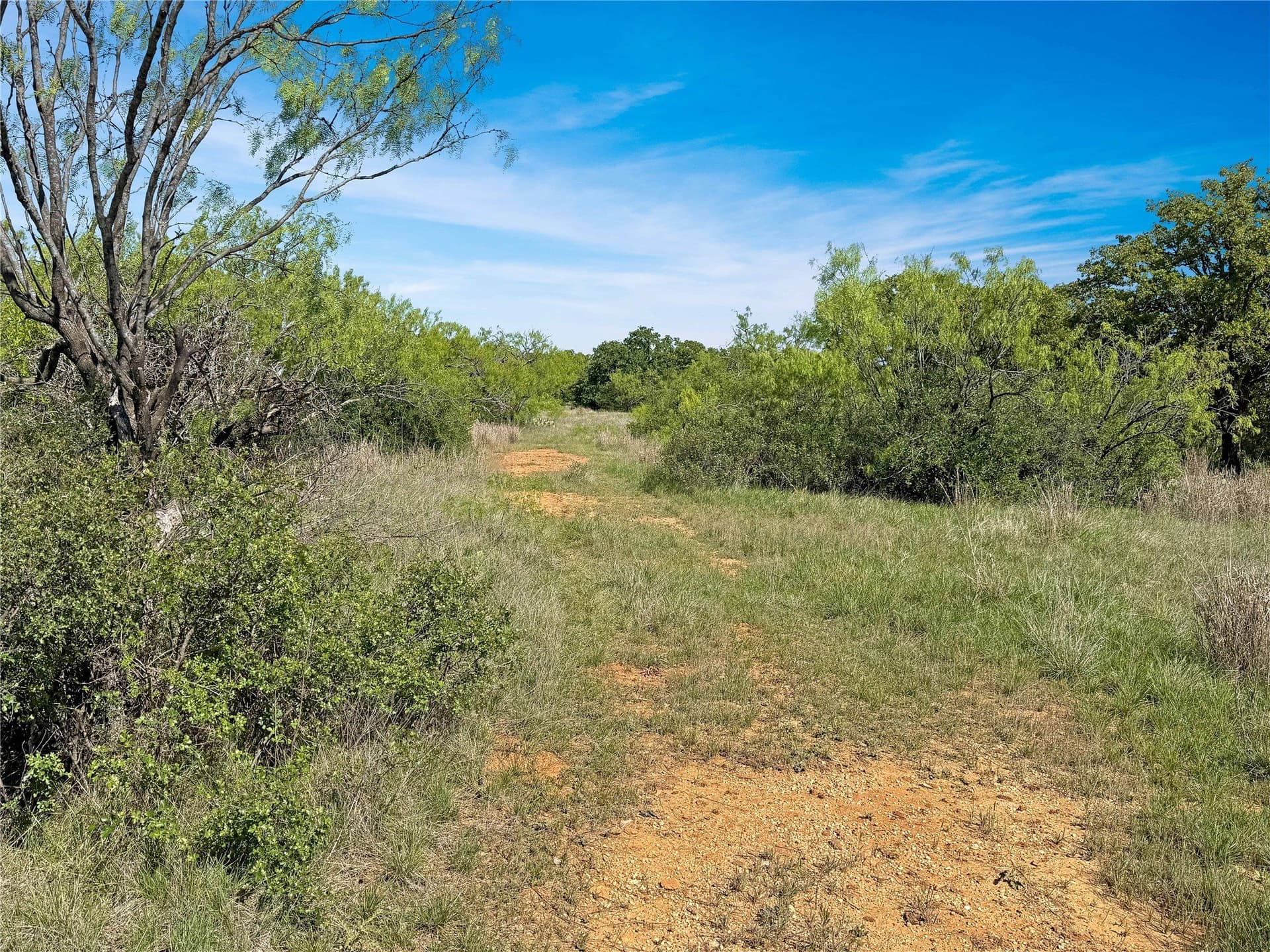 149.62 acres in Eastland County - photo 16