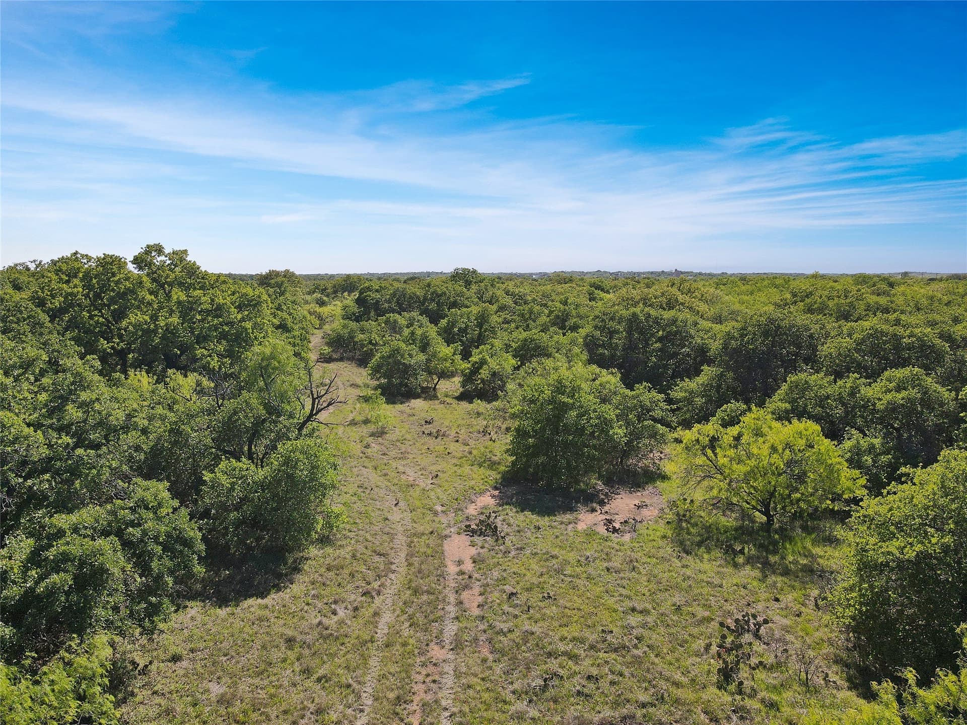 149.62 acres in Eastland County - photo 4