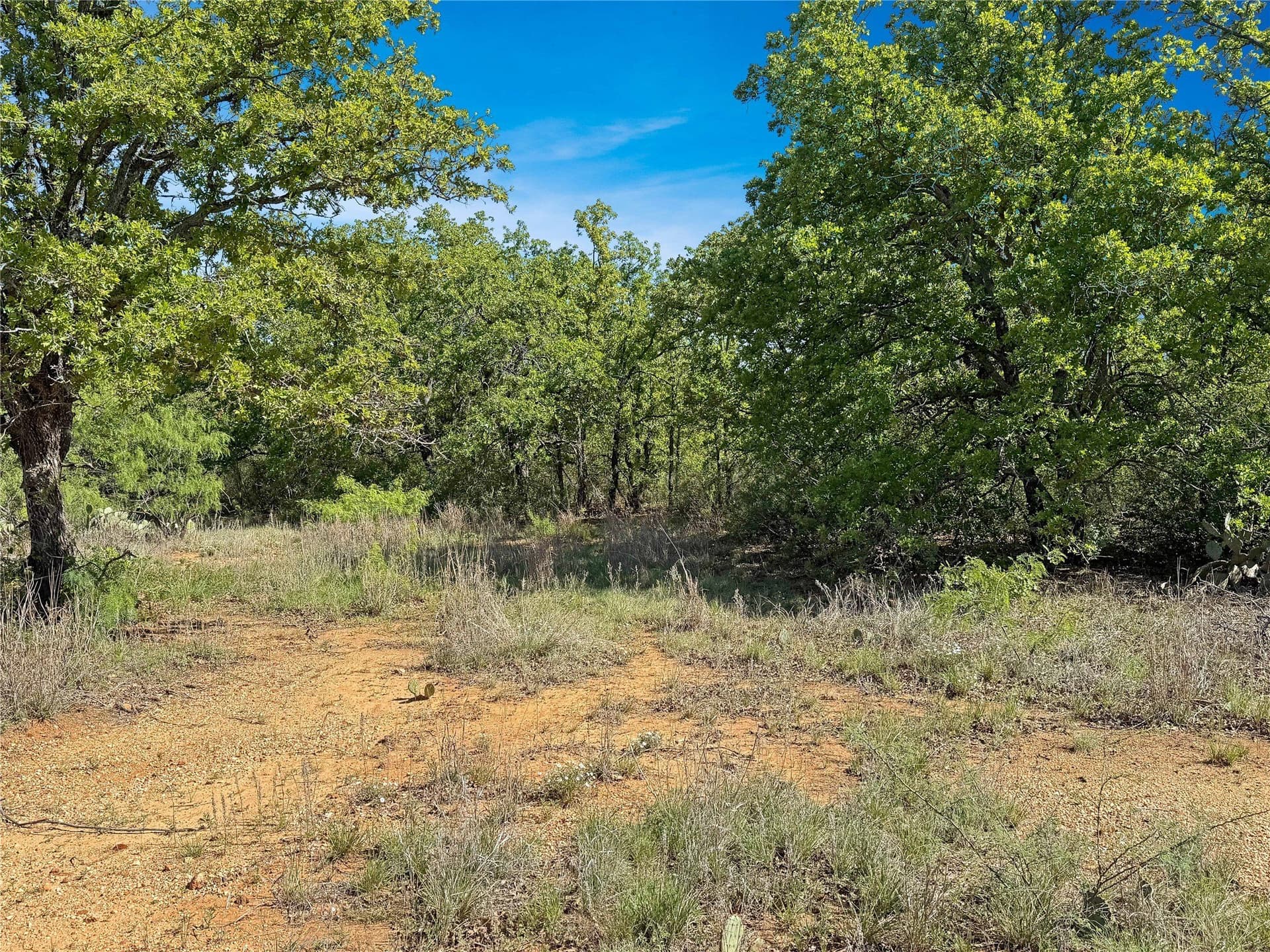149.62 acres in Eastland County - photo 3