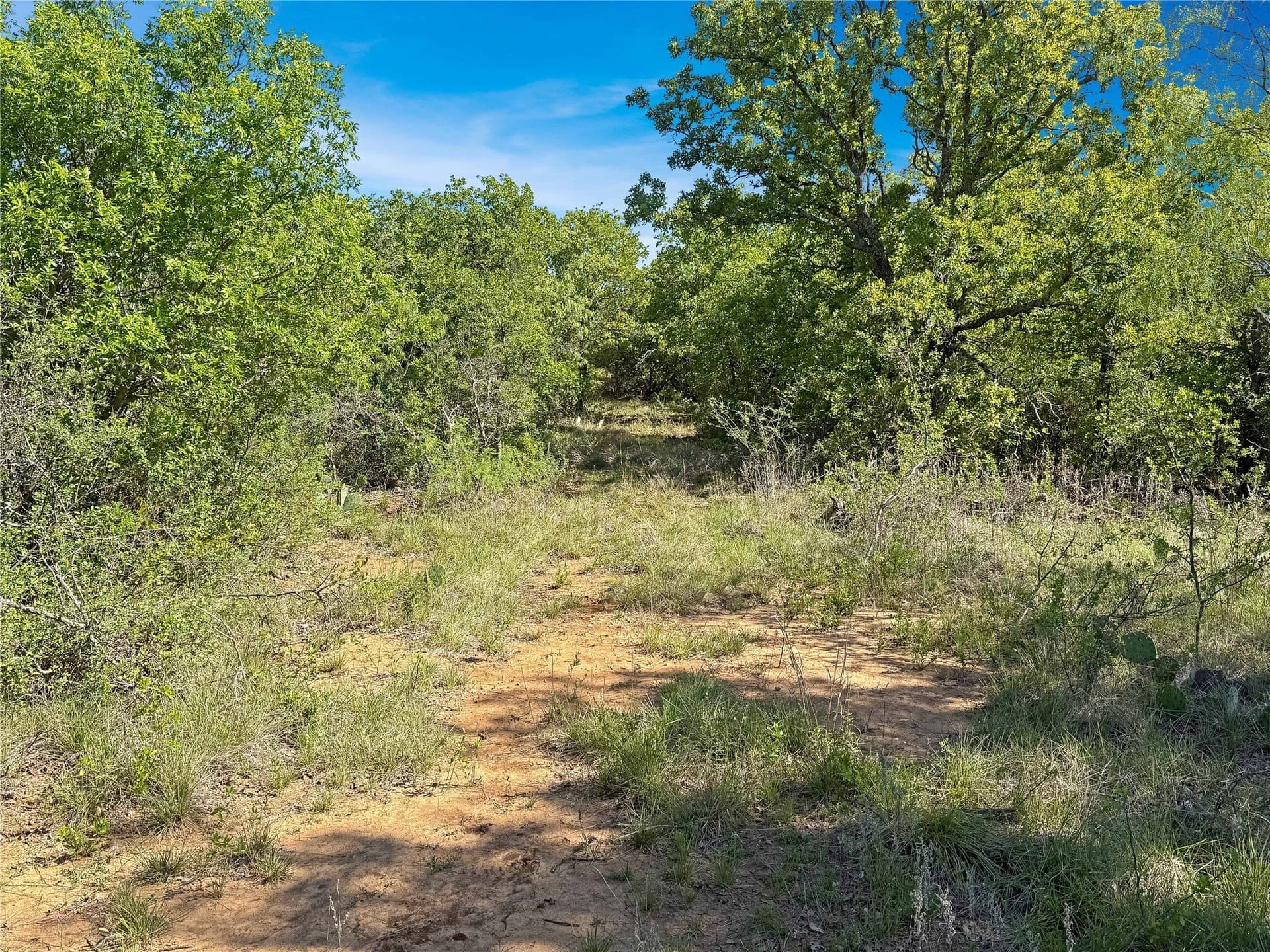 149.62 acres in Eastland County - photo 10