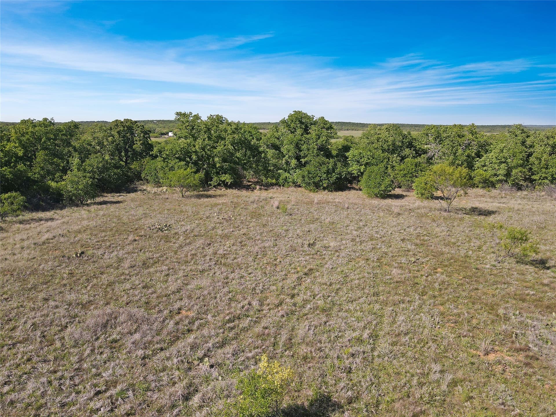 149.62 acres in Eastland County - photo 13