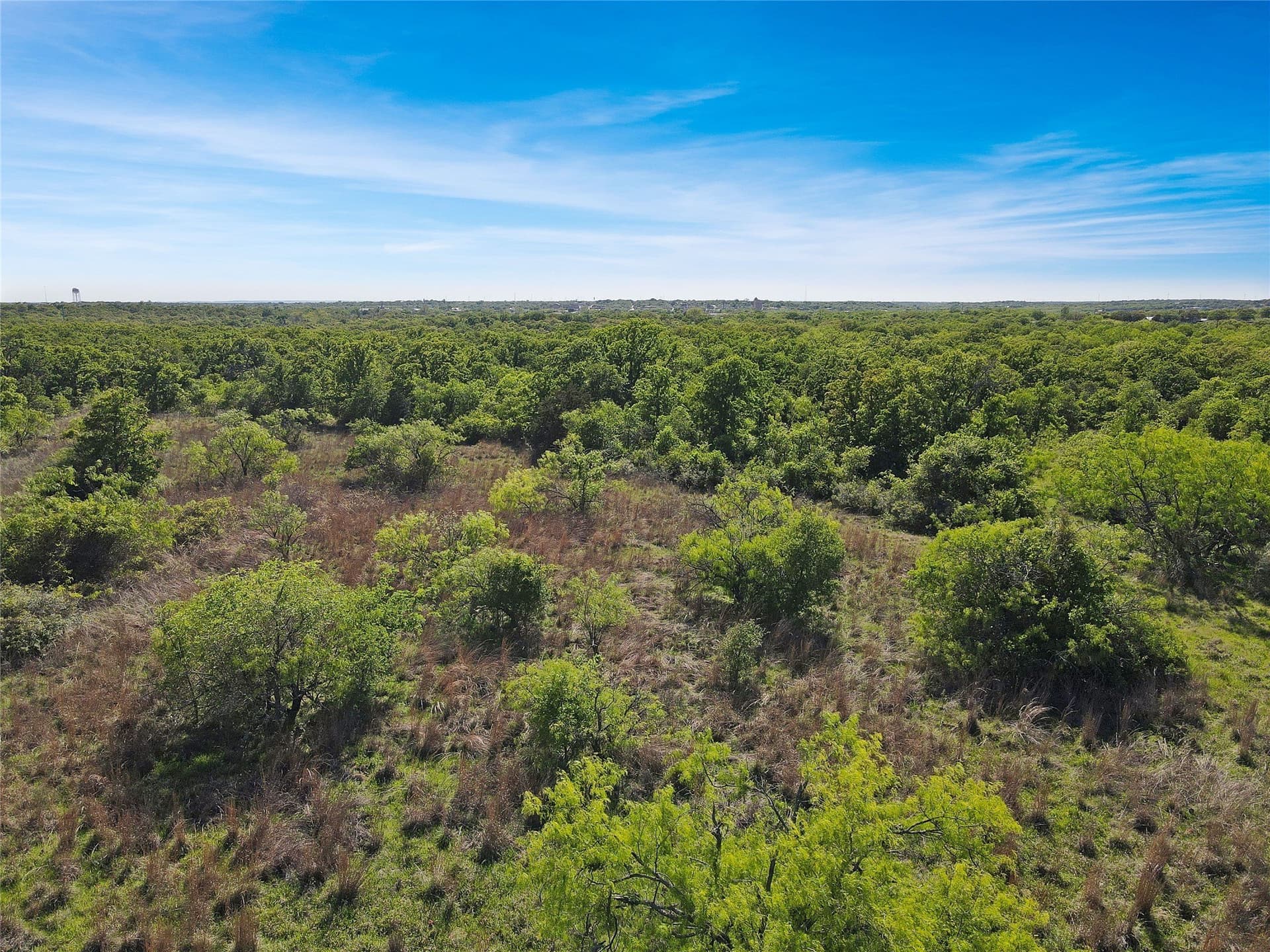 149.62 acres in Eastland County - photo 15