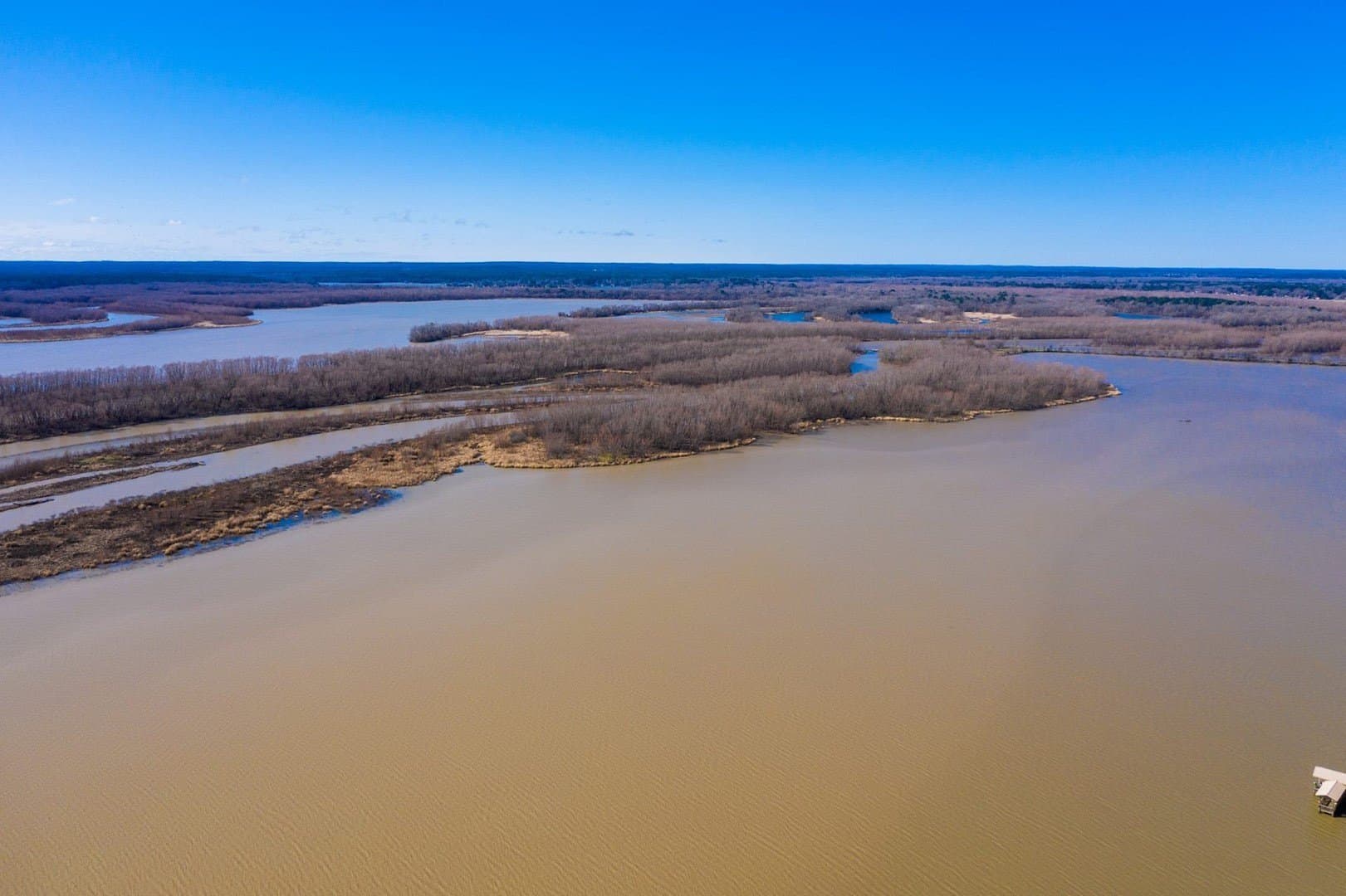 0.15 acres in Trinity County - photo 20