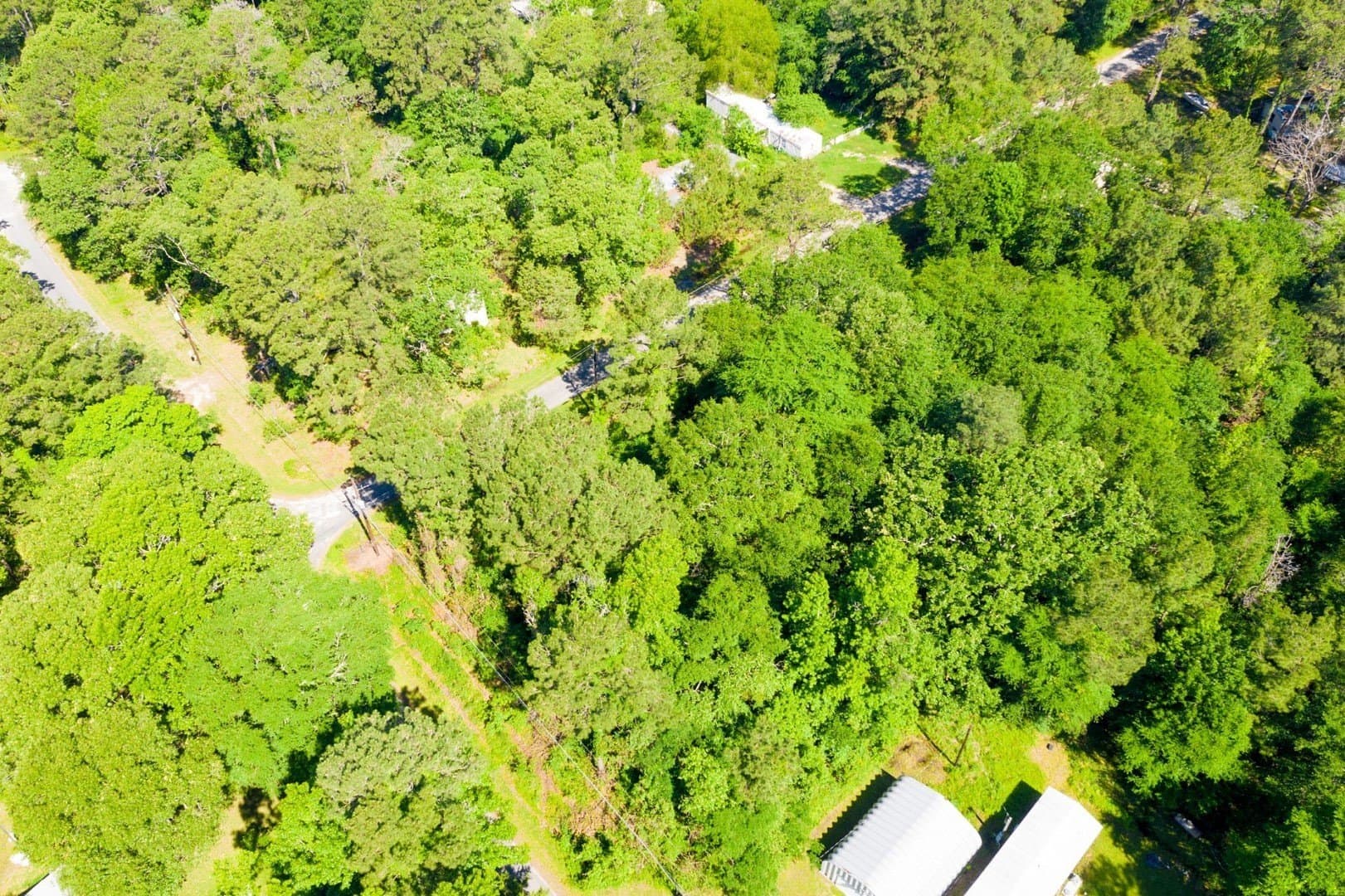 0.15 acres in Trinity County - photo 7