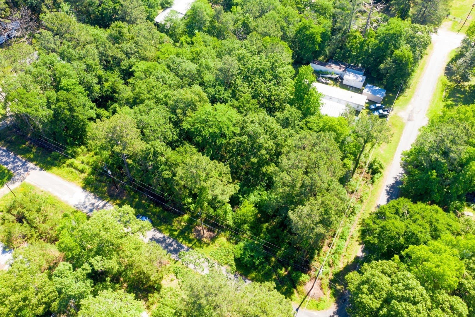 0.15 acres in Trinity County - photo 14