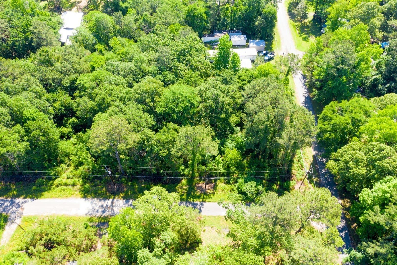 0.15 acres in Trinity County - photo 13