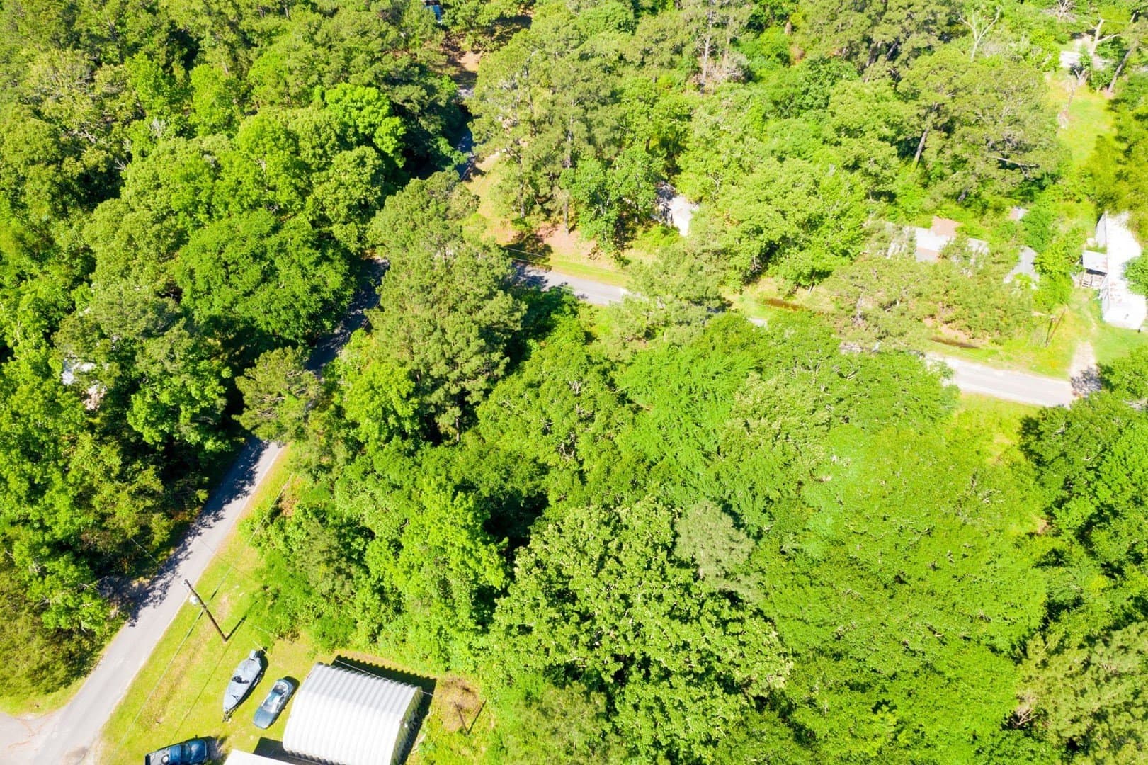 0.15 acres in Trinity County - photo 9