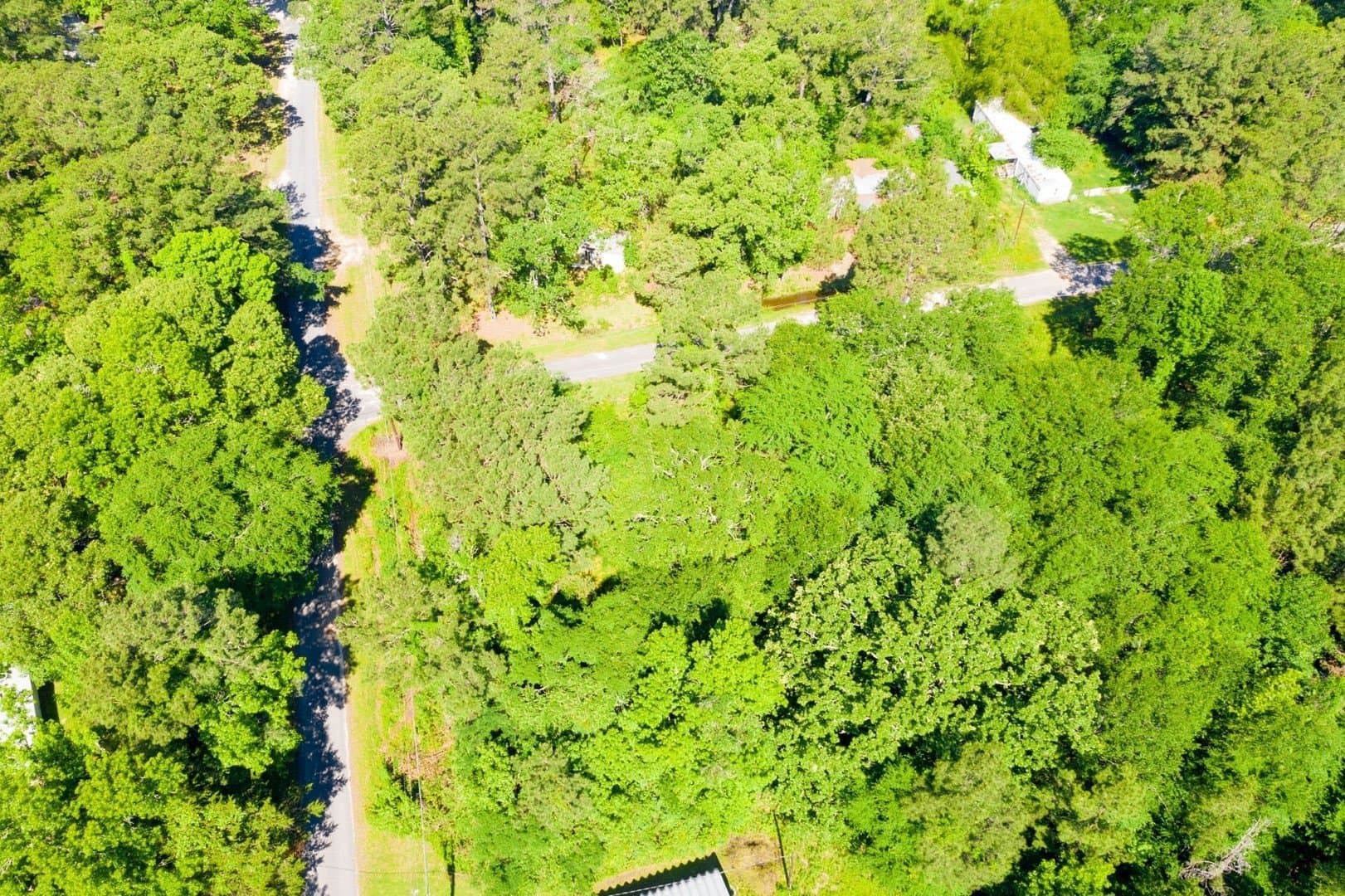 0.15 acres in Trinity County - photo 8