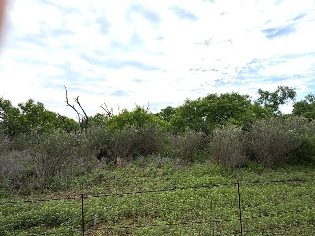 10.2 acres in Mason County gallery image 3