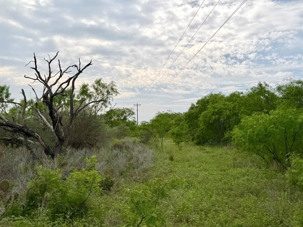 10.2 acres in Mason County gallery image 4