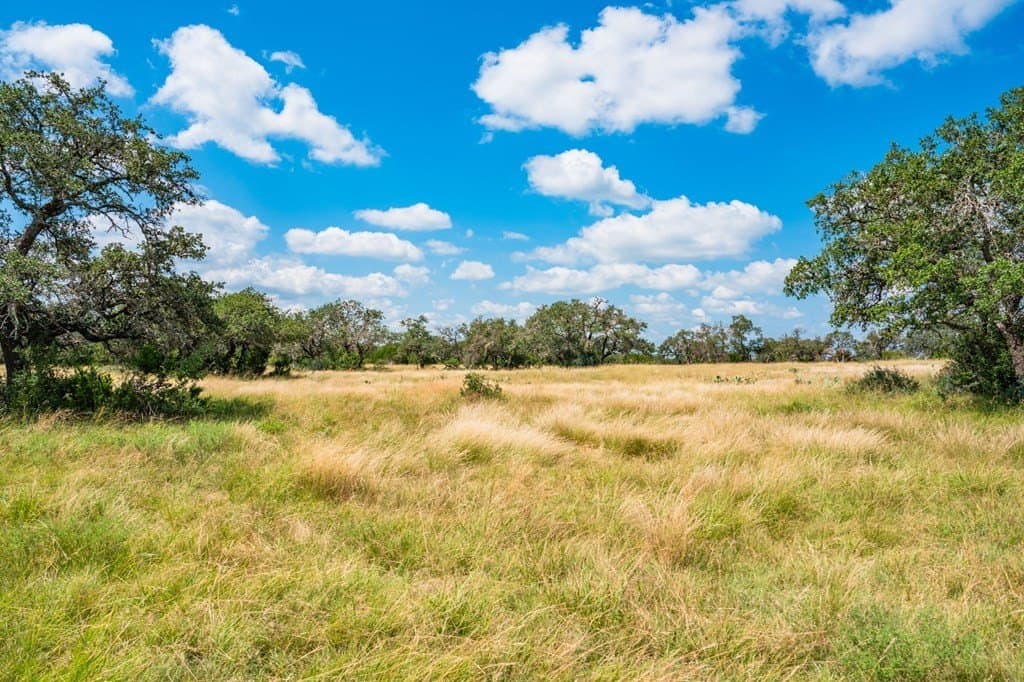 100.02 acres in Real County gallery image 4