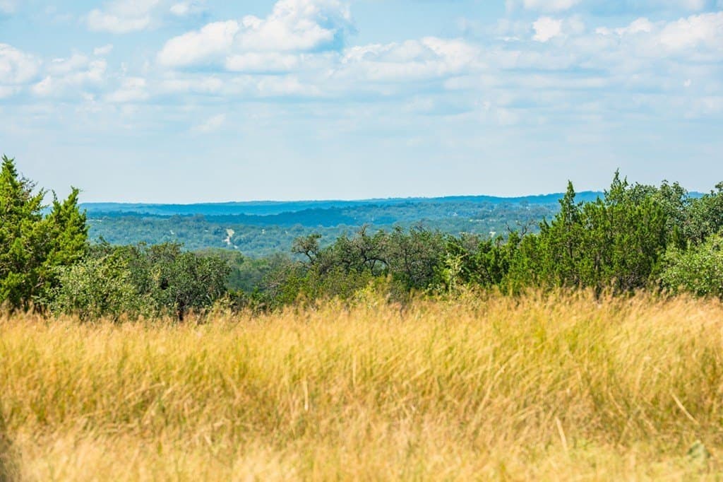 100.02 acres in Real County gallery image 2