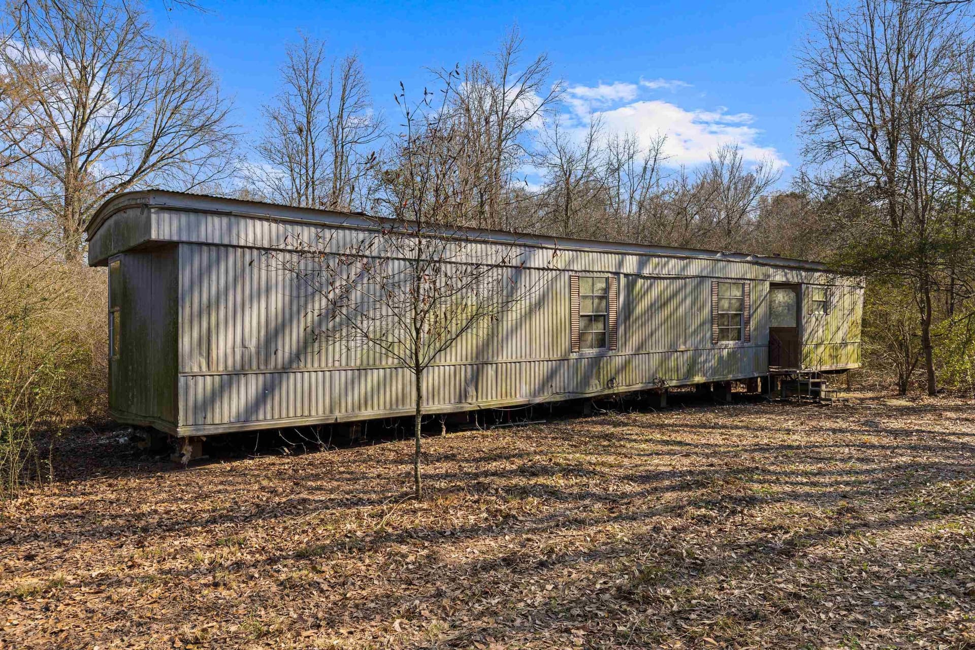 24 acres in Shelby County gallery image 2