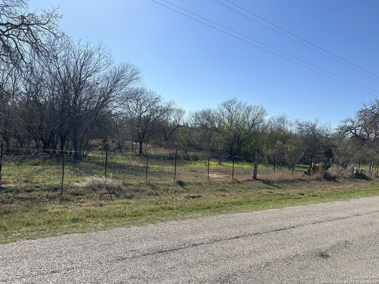 10 acres in Atascosa County - photo 3