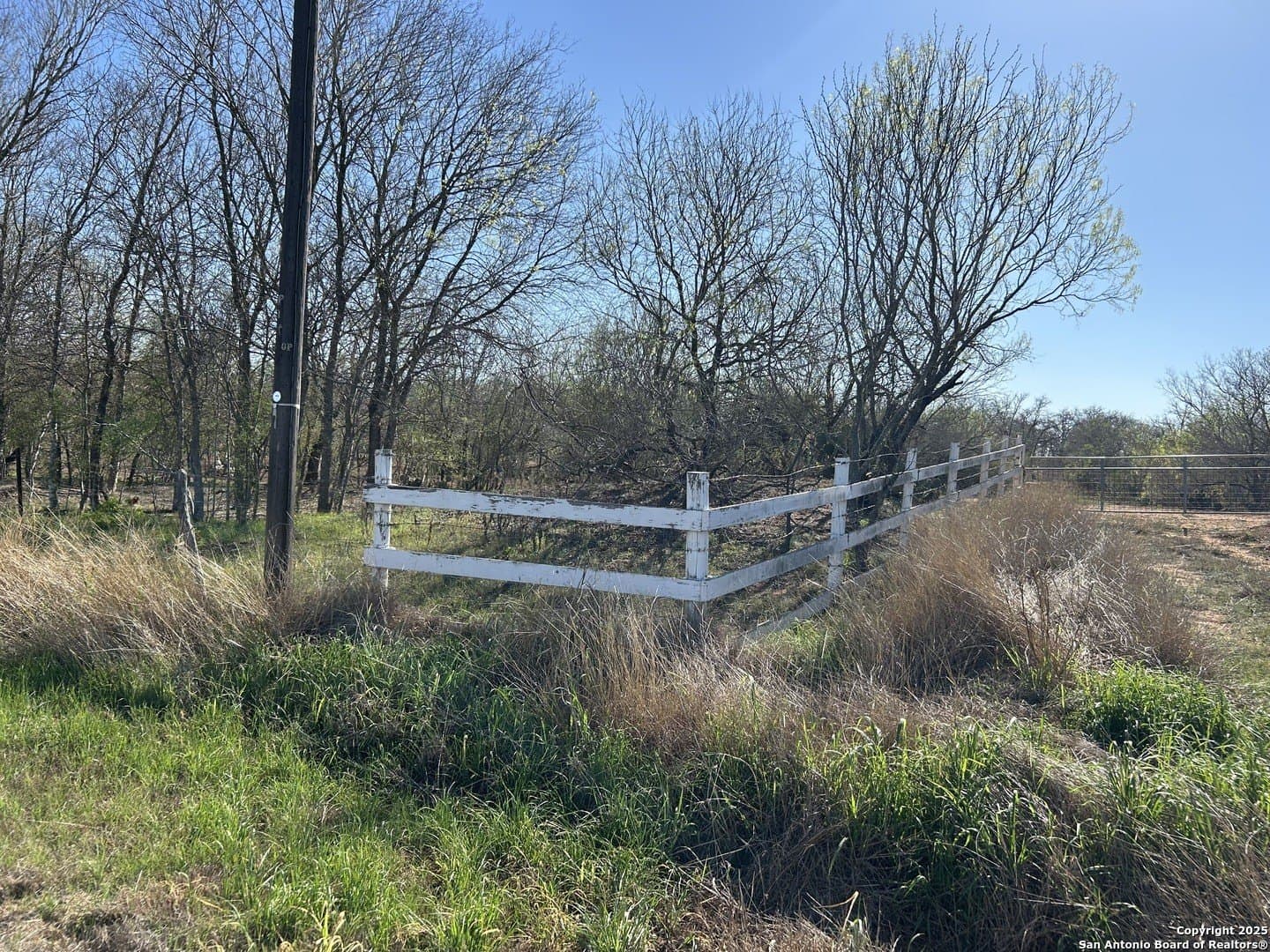 10 acres in Atascosa County - photo 2