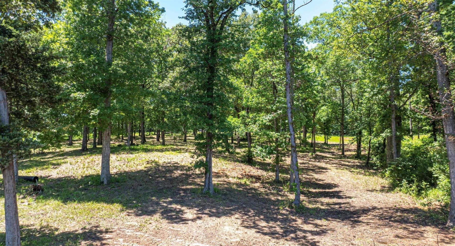 1.07 acres in Camp County - photo 8