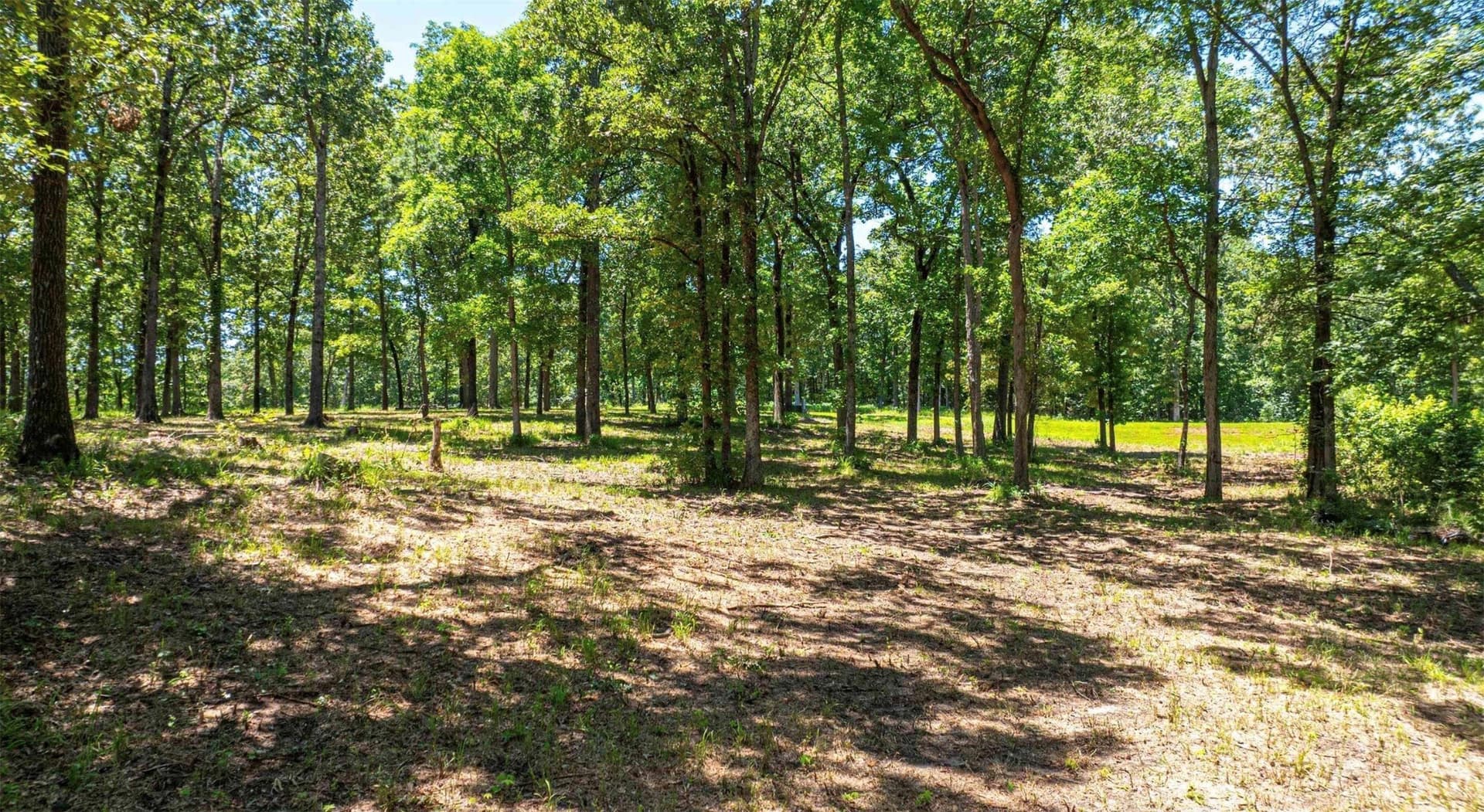 1.07 acres in Camp County - photo 9