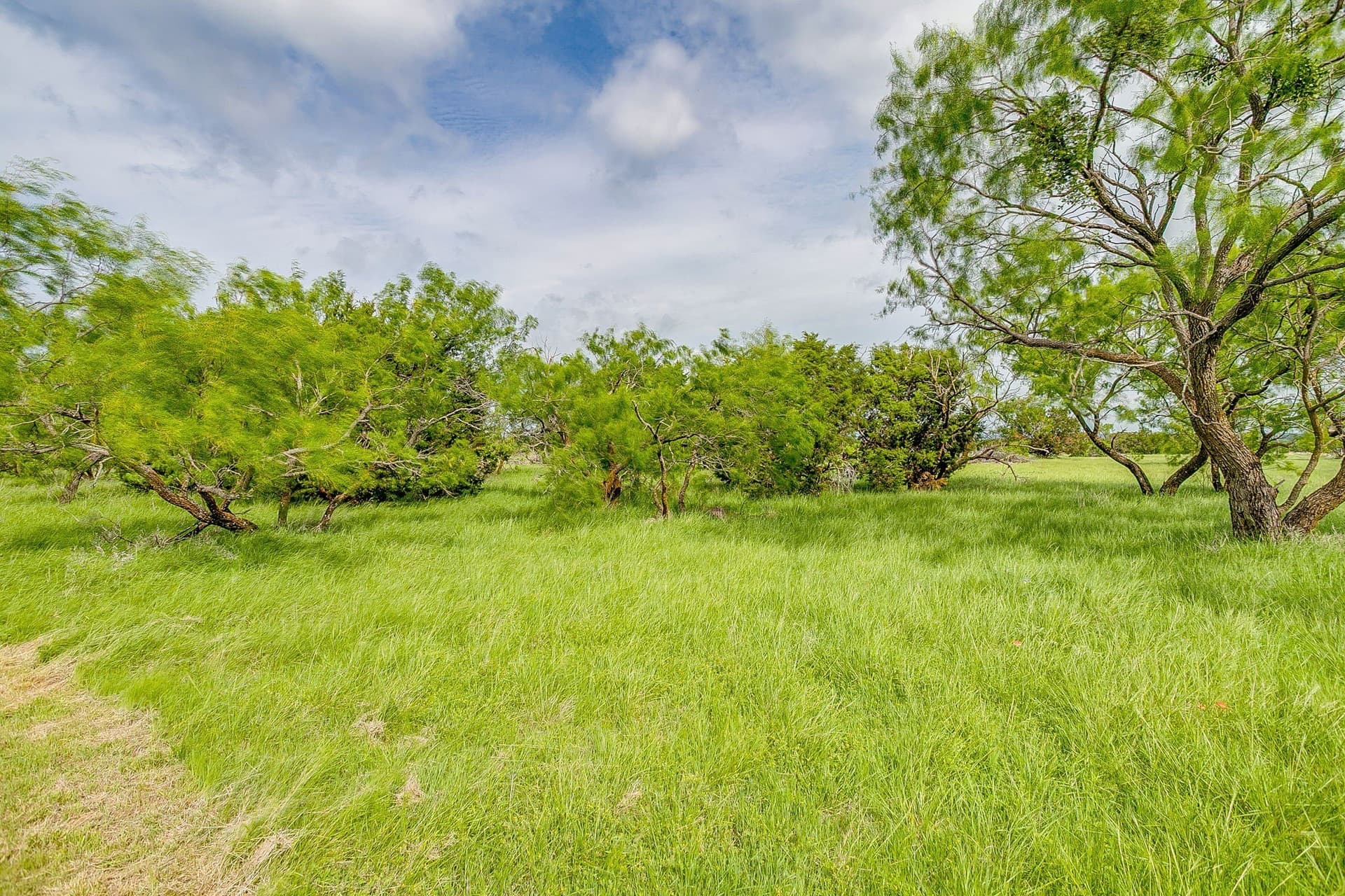 40.87 acres in Palo Pinto County - photo 24