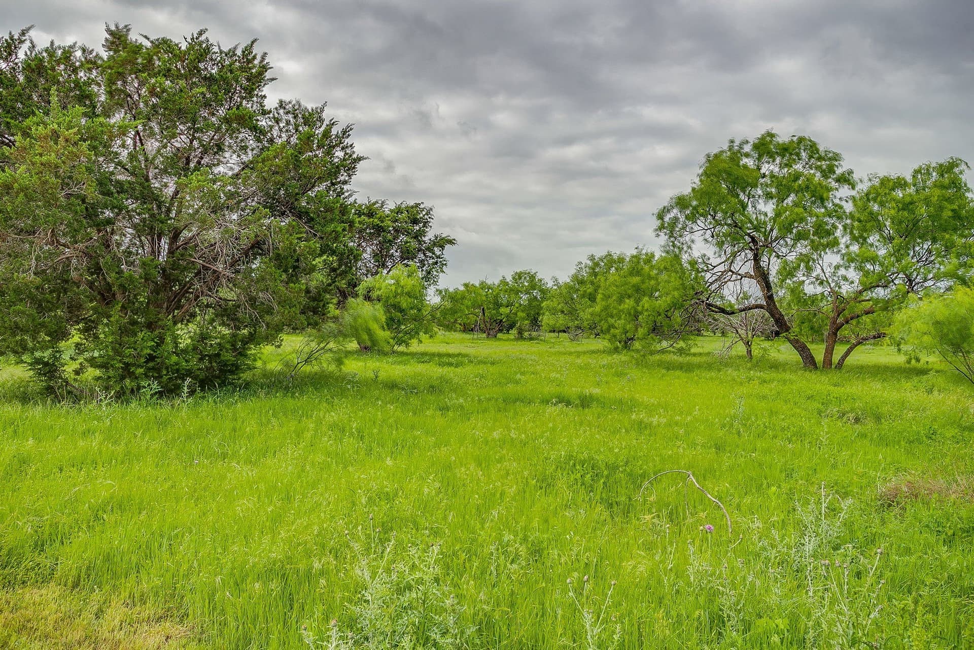 40.87 acres in Palo Pinto County - photo 22