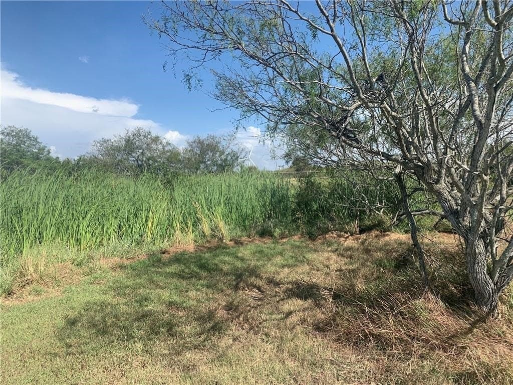0 acres in San Patricio County - photo 6