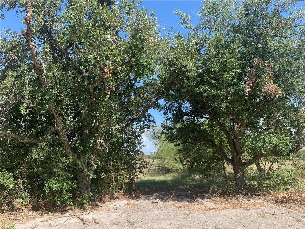 0 acres in San Patricio County - photo 7