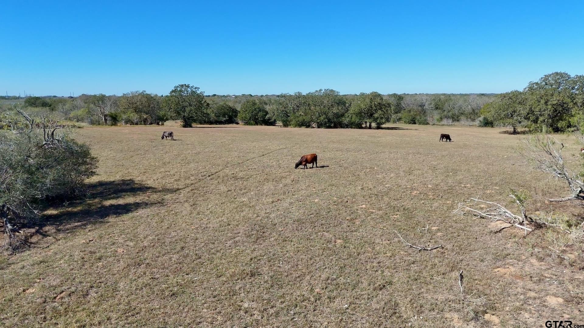 384 acres in Gonzales County - photo 7