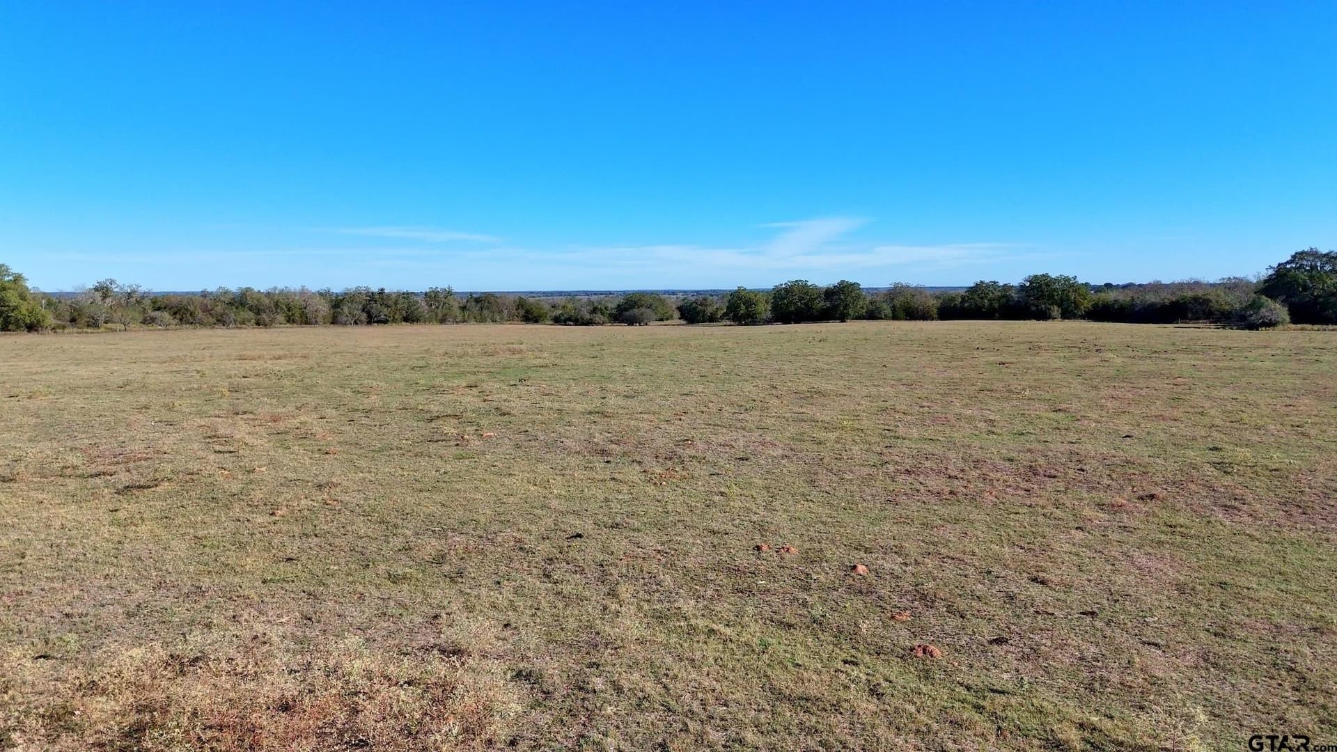384 acres in Gonzales County - photo 9