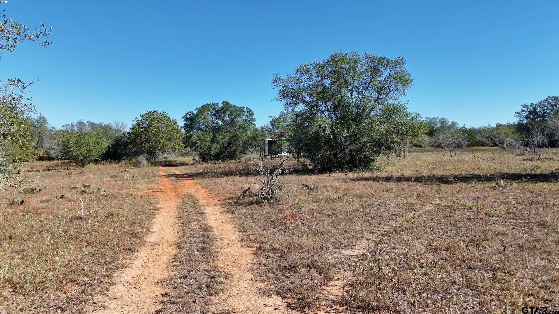 384 acres in Gonzales County - photo 35