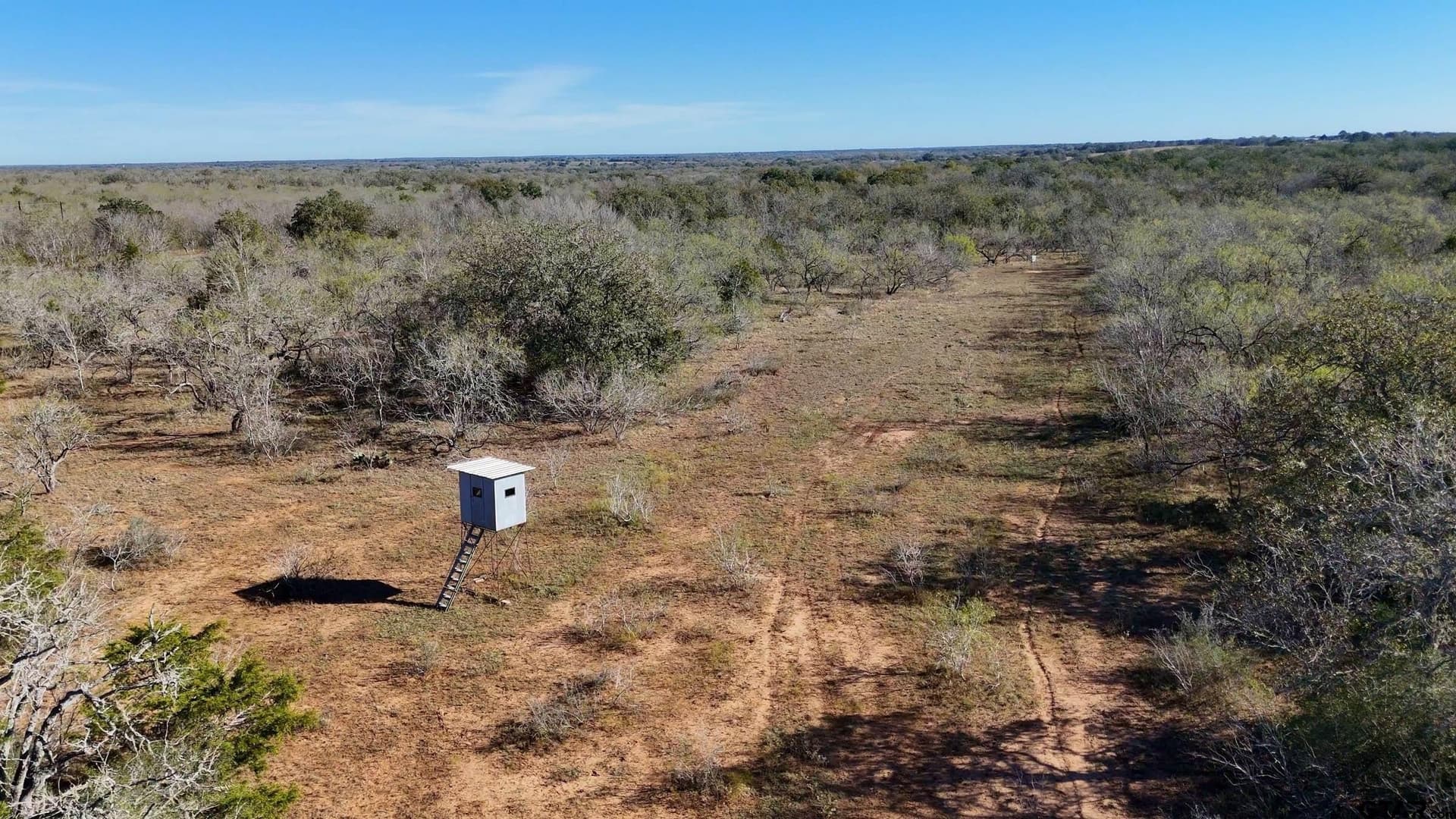 384 acres in Gonzales County - photo 17