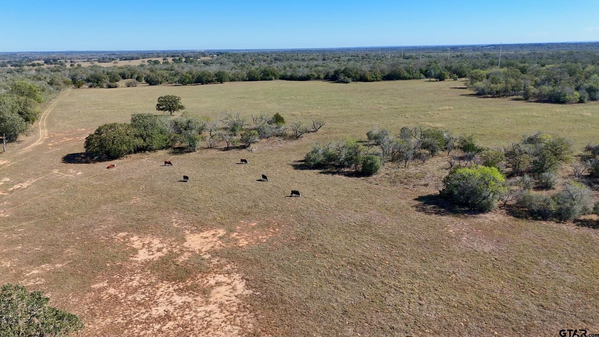 384 acres in Gonzales County - photo 14