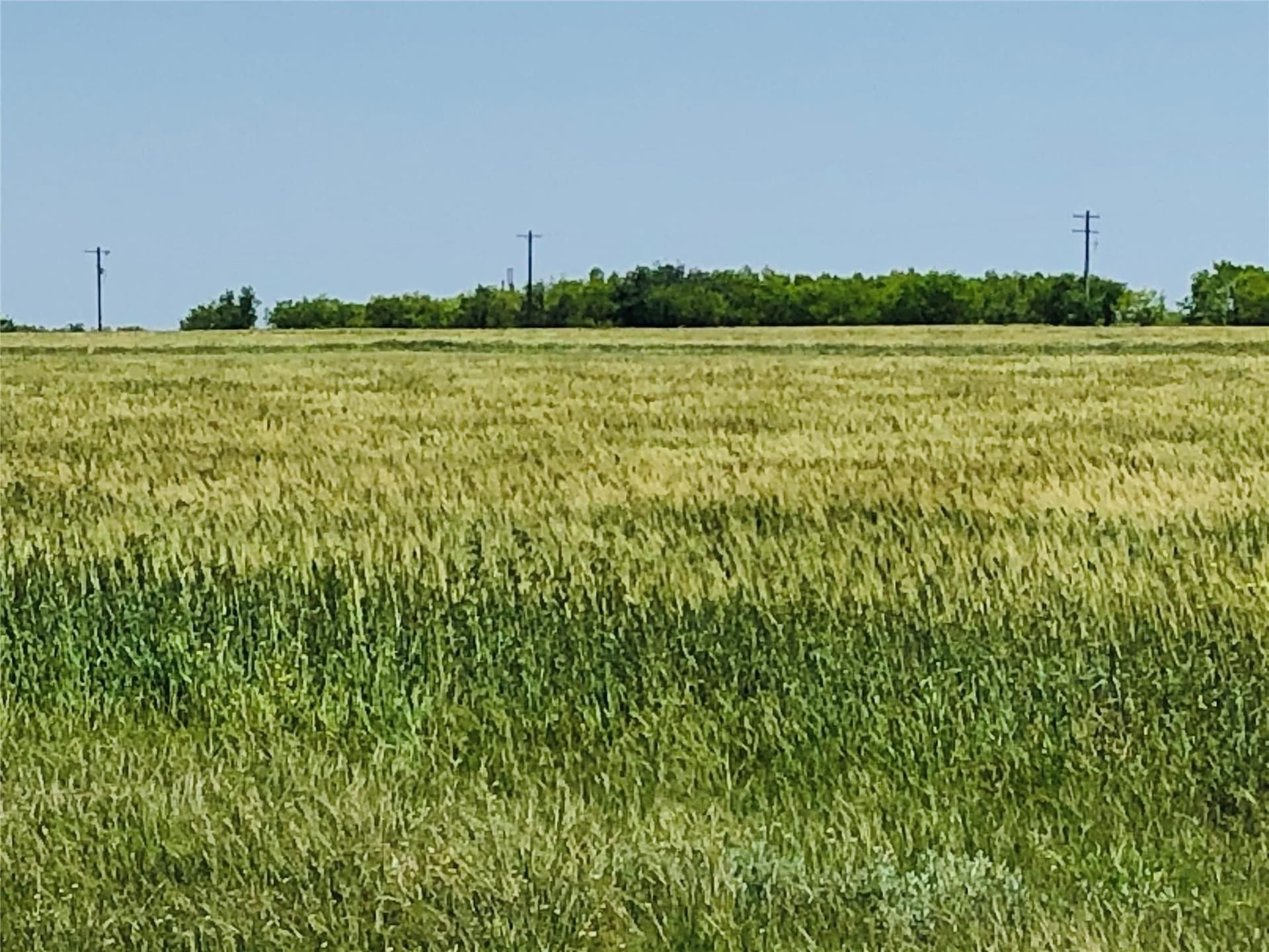 1 acres in Callahan County - photo 7