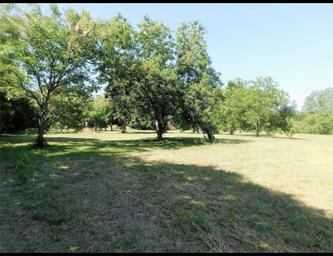 11.72 acres in Grayson County - photo 19