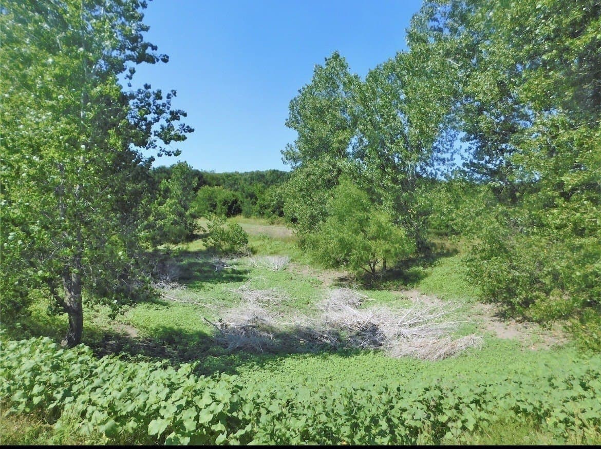 11.72 acres in Grayson County - photo 18