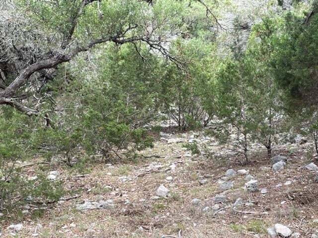 144 acres in Edwards County - photo 31