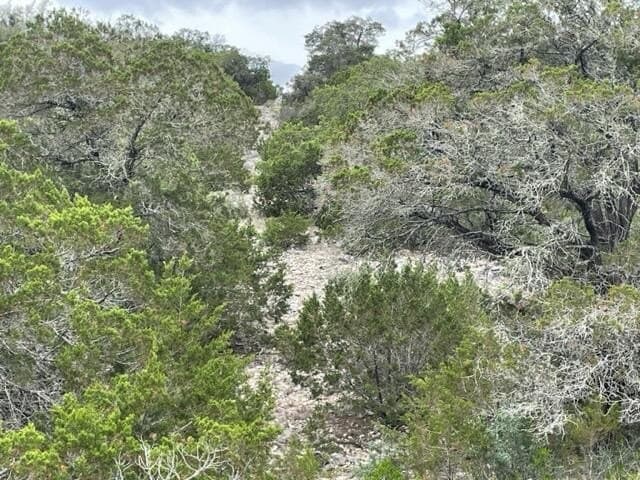 144 acres in Edwards County - photo 28