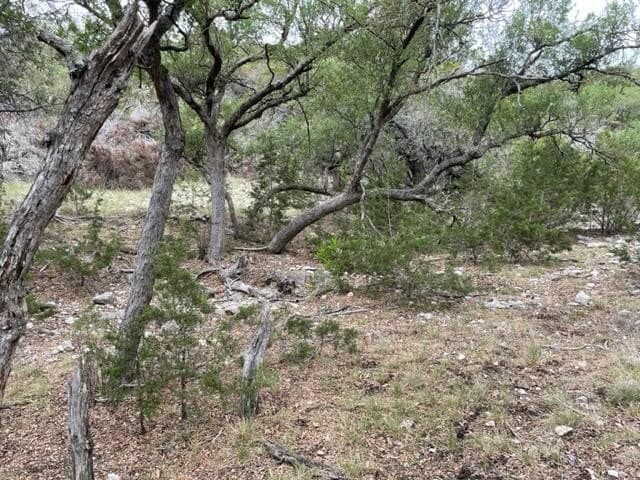 144 acres in Edwards County - photo 32