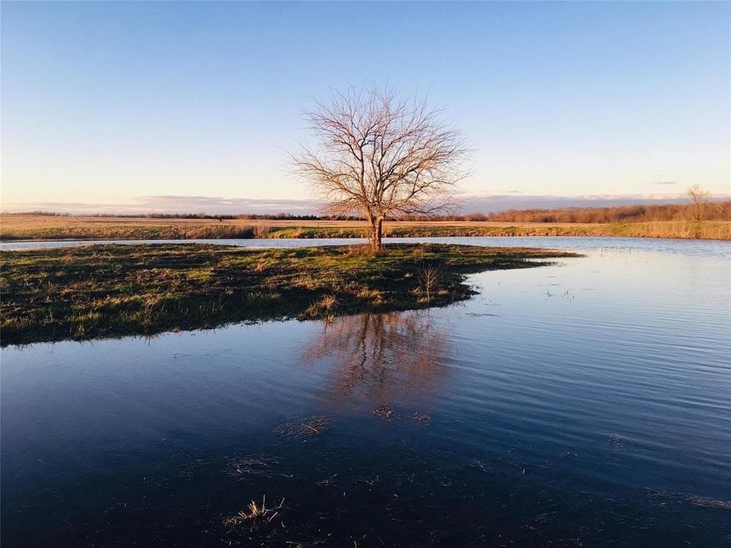 77.02 acres in Hunt County - photo 13