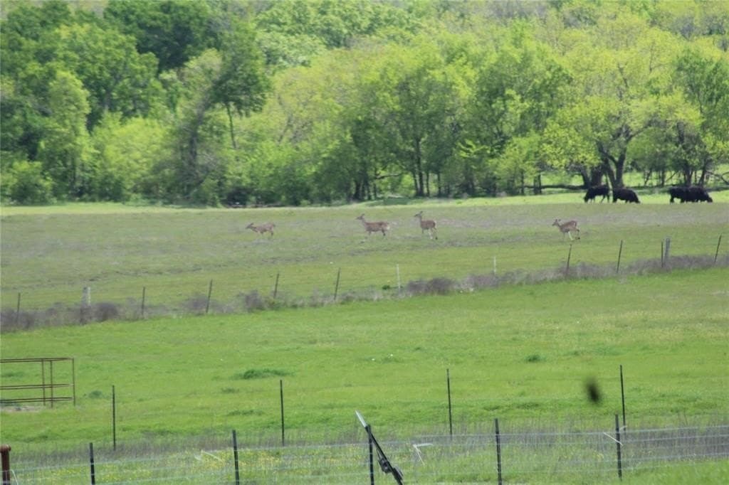 77.02 acres in Hunt County - photo 9