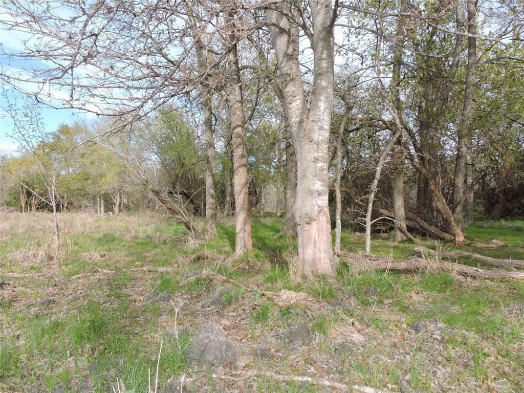 98.56 acres in Kaufman County gallery image 2