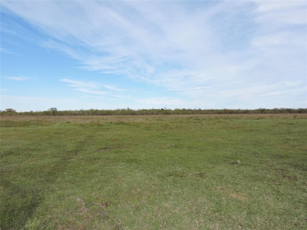 98.56 acres in Kaufman County gallery image 4