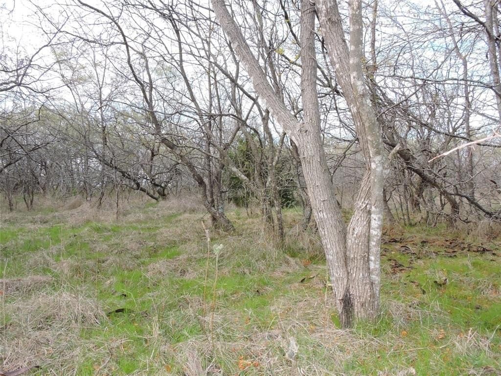 98.56 acres in Kaufman County gallery image 3