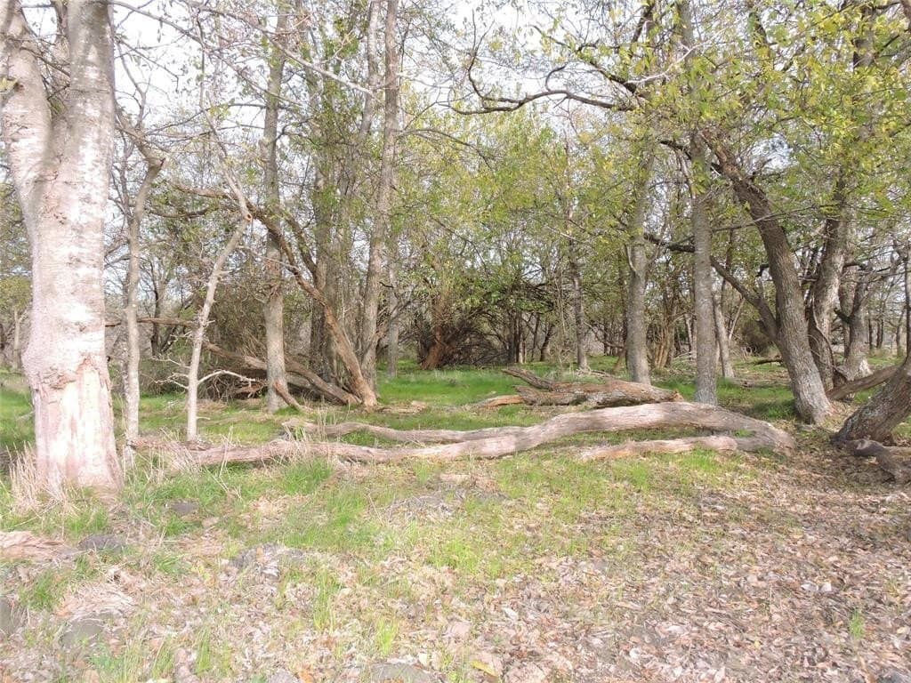 98.56 acres in Kaufman County