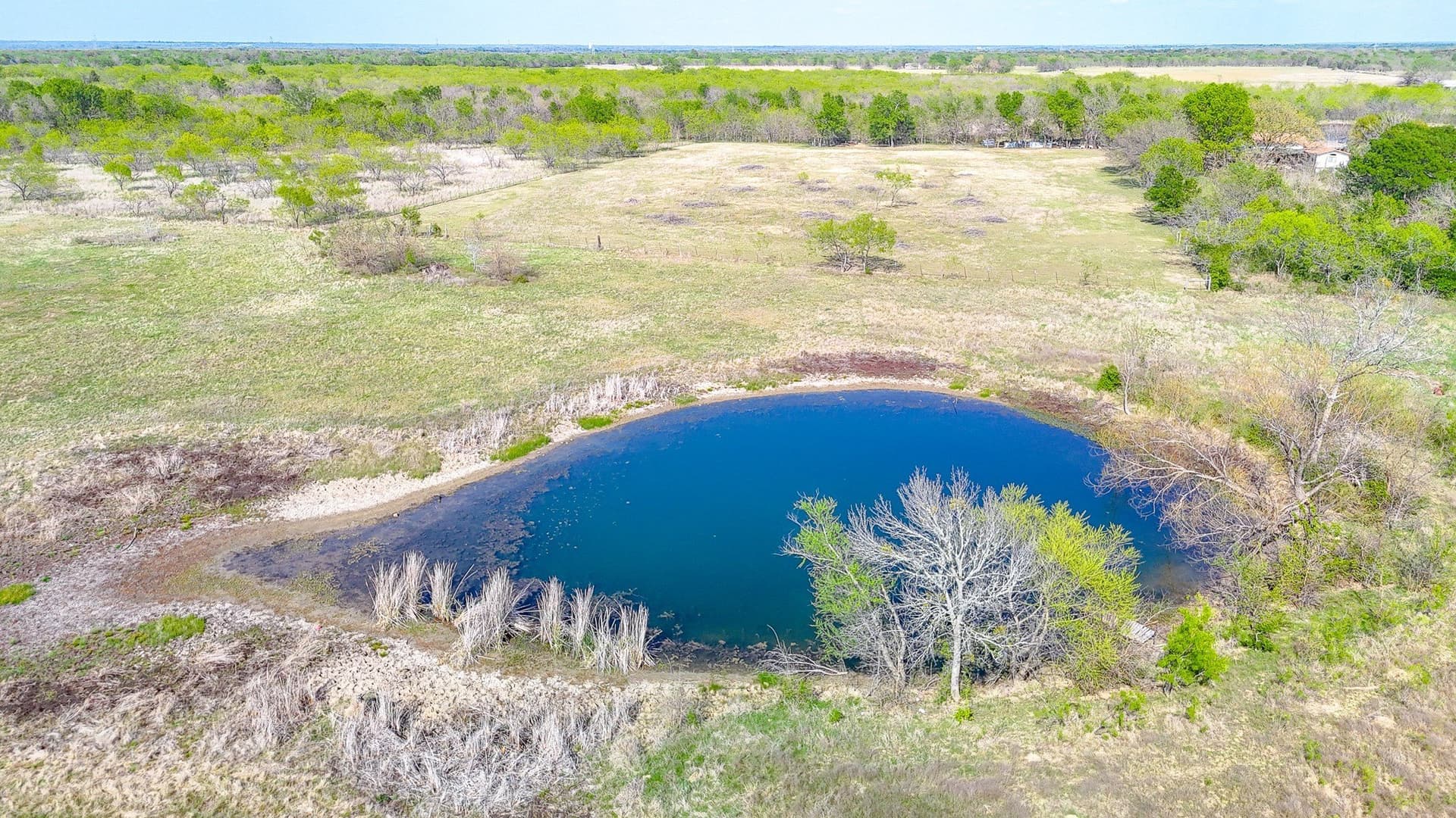 80.55 acres in Navarro County - photo 27