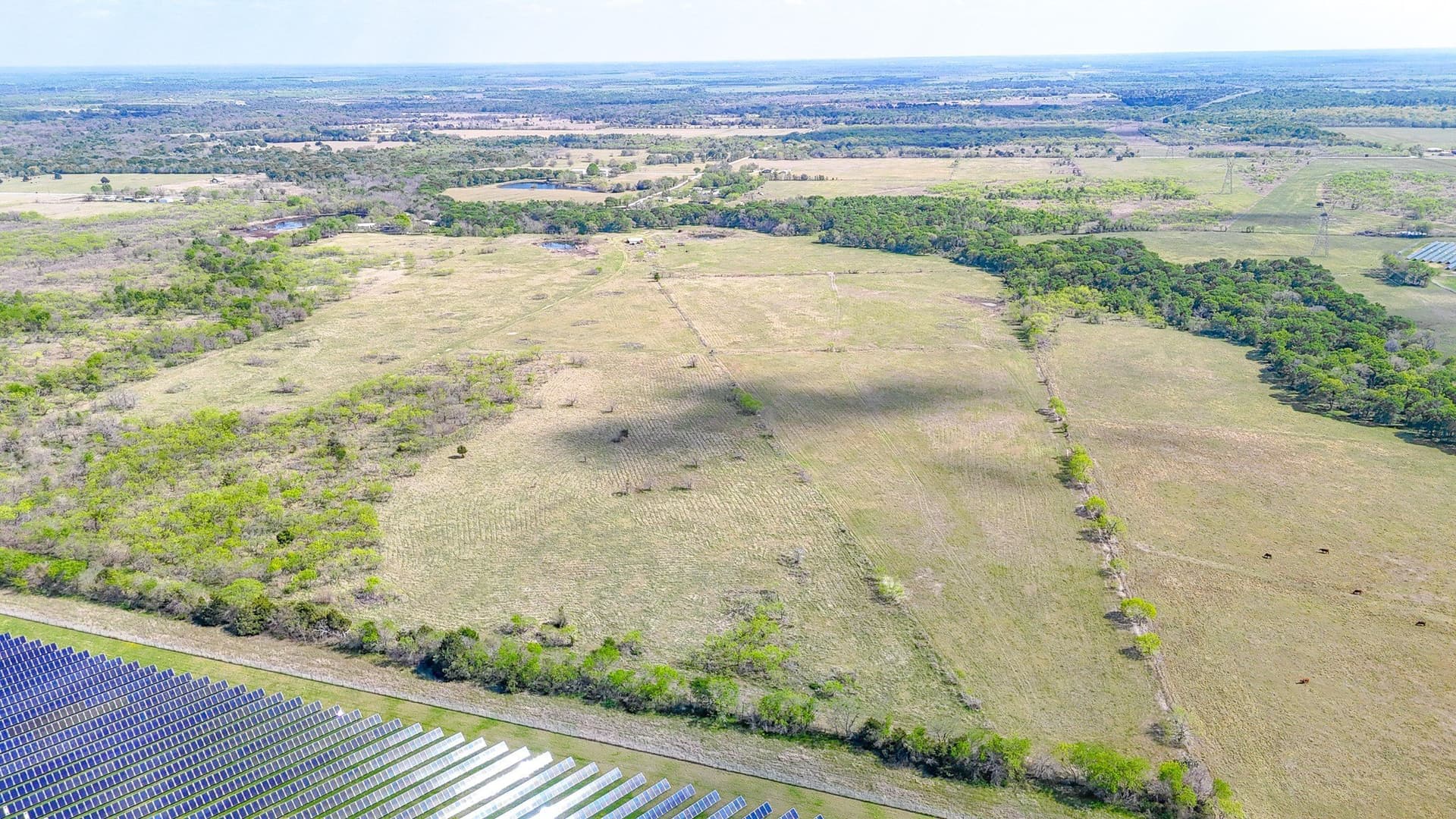 80.55 acres in Navarro County - photo 10