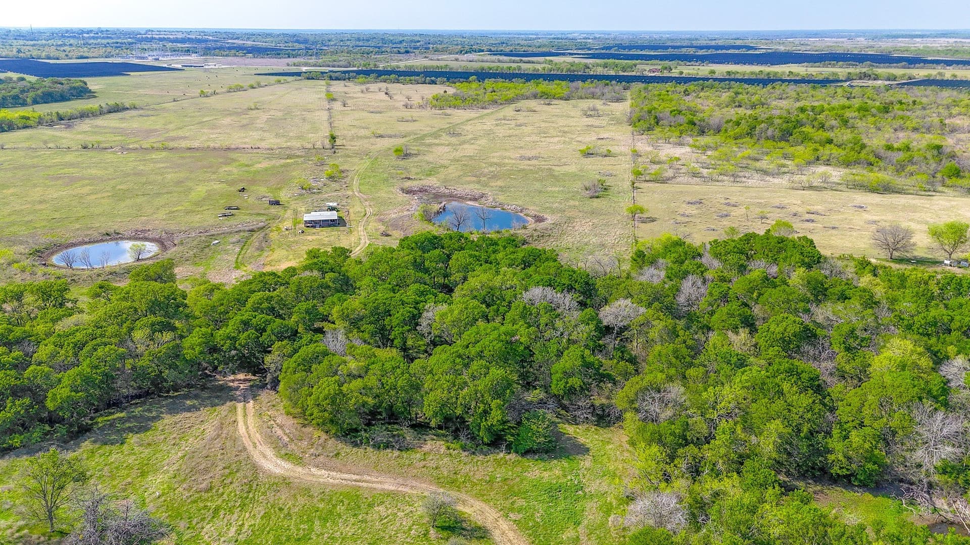 80.55 acres in Navarro County - photo 23